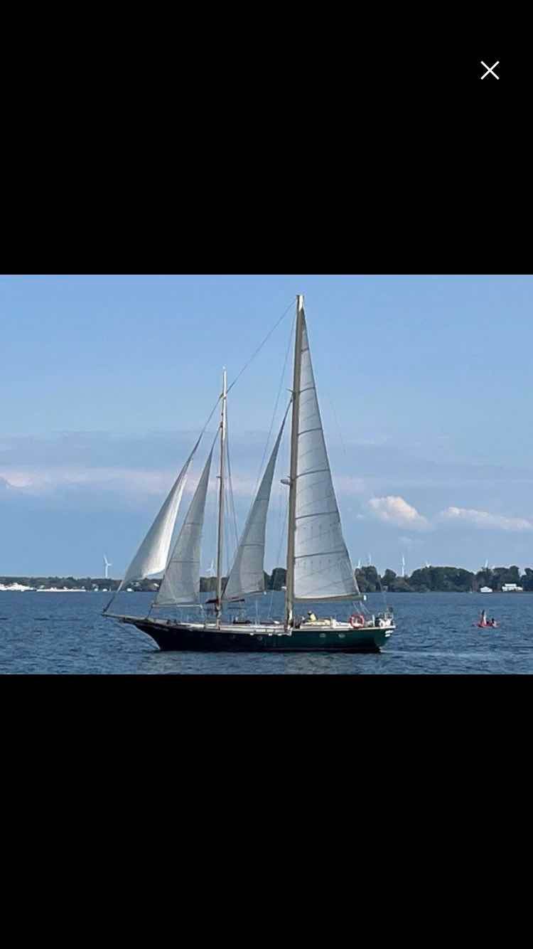 Voyage photo from Sail to Picton for summer