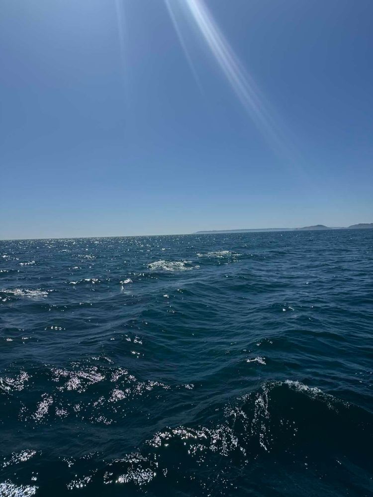 Voyage photo from Braye to Sark