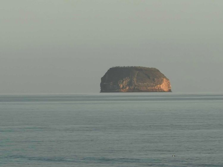 Voyage photo from Puerto Egas to Bahía Seymour