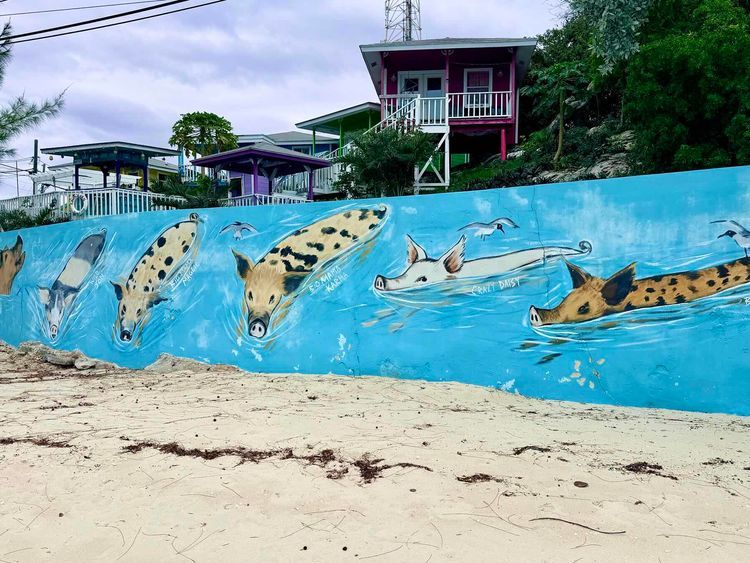 Voyage photo from Staniel Cay - George Town Exumas