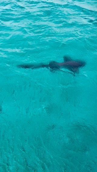 Voyage photo from Staniel Cay - George Town Exumas