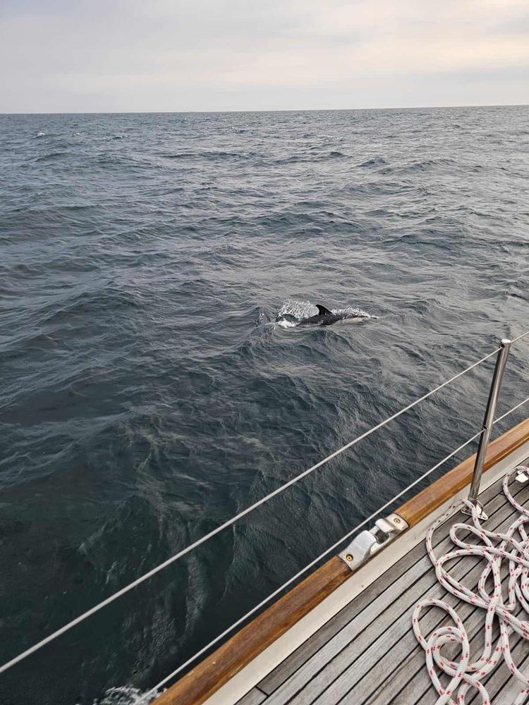 Voyage photo from 