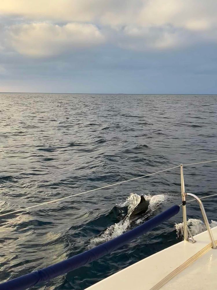 Voyage photo from Cowes to Gran Canaria - October ā26