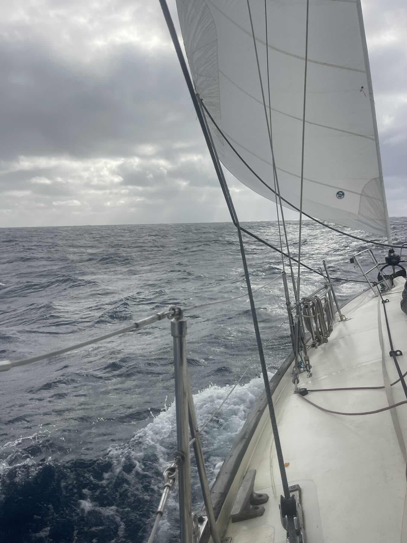 Bye bye New Zealand! We are off to Minerva reef and beyond!_120998A9-6430-4CE4-9DC9-1BD0ED5DC96E
