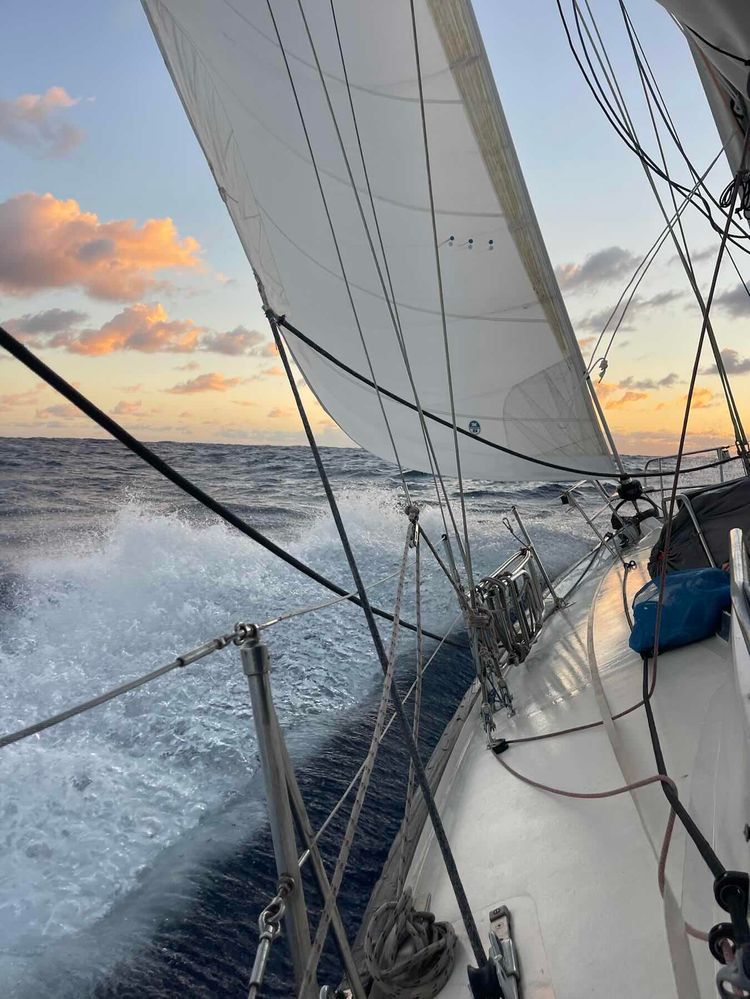 Voyage photo from Bye bye New Zealand! We are off to Minerva reef and beyond!