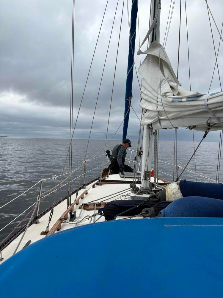 Voyage photo from Day 9, sailing to Mikklensaarten world heritage archipelago 