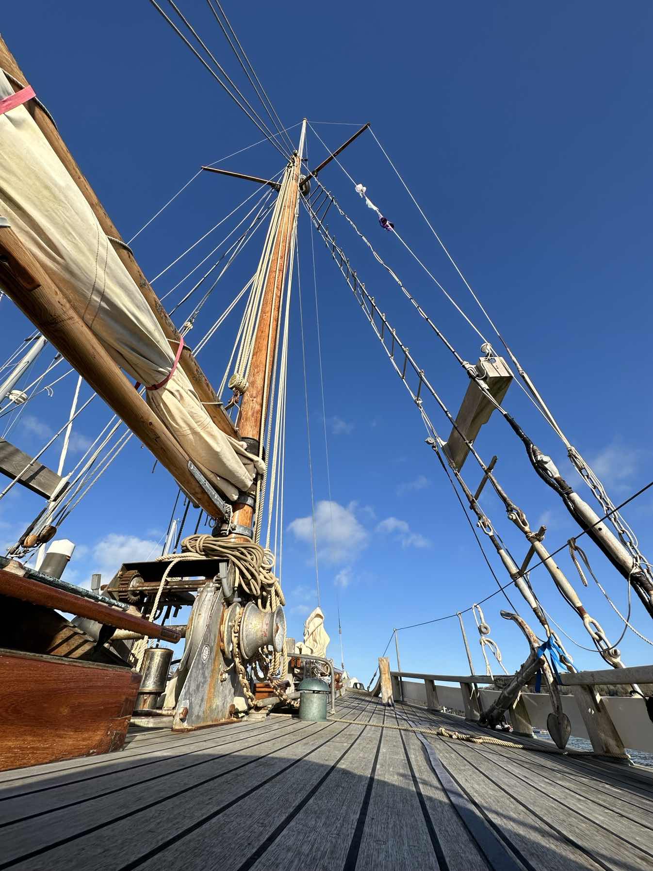 Winter Sail on Escape ❄️⛵️_E565FF8C-9593-45F0-AA6F-BCEDDF7D3A99
