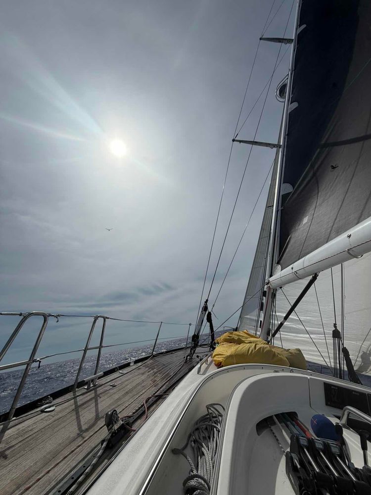 Voyage photo from Delivery: Bermuda to Baltimore