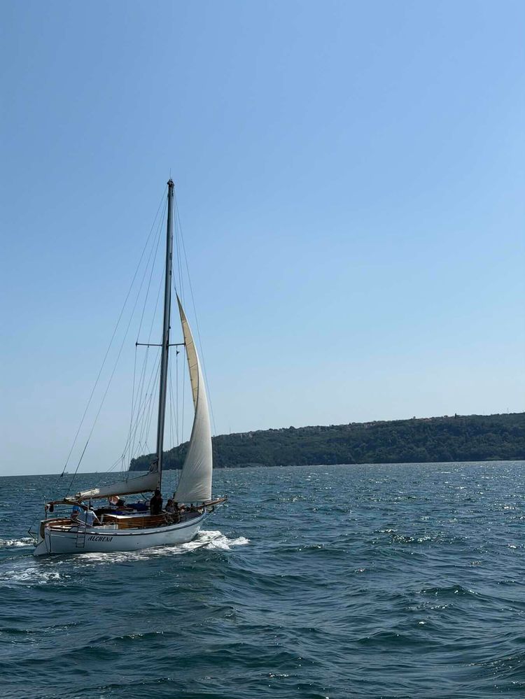 Voyage photo from Sail training session