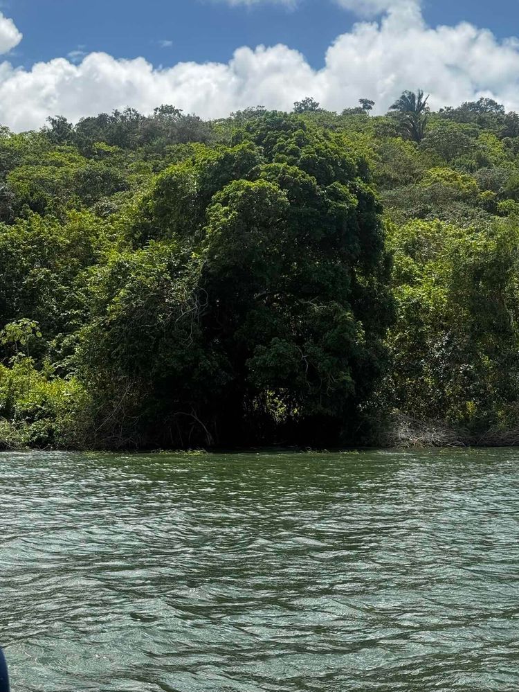 Voyage photo from Navegação na Lagoa de Jequiá