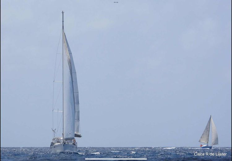 Voyage photo from table mountain regatta
