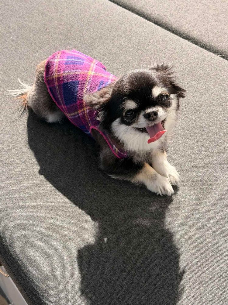 Voyage photo from Kemah-Galveston