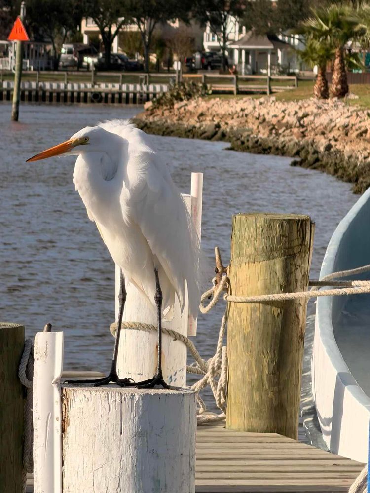 Voyage photo from Kemah-Galveston