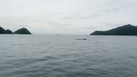 Voyage photo from Otoque anchorage change 