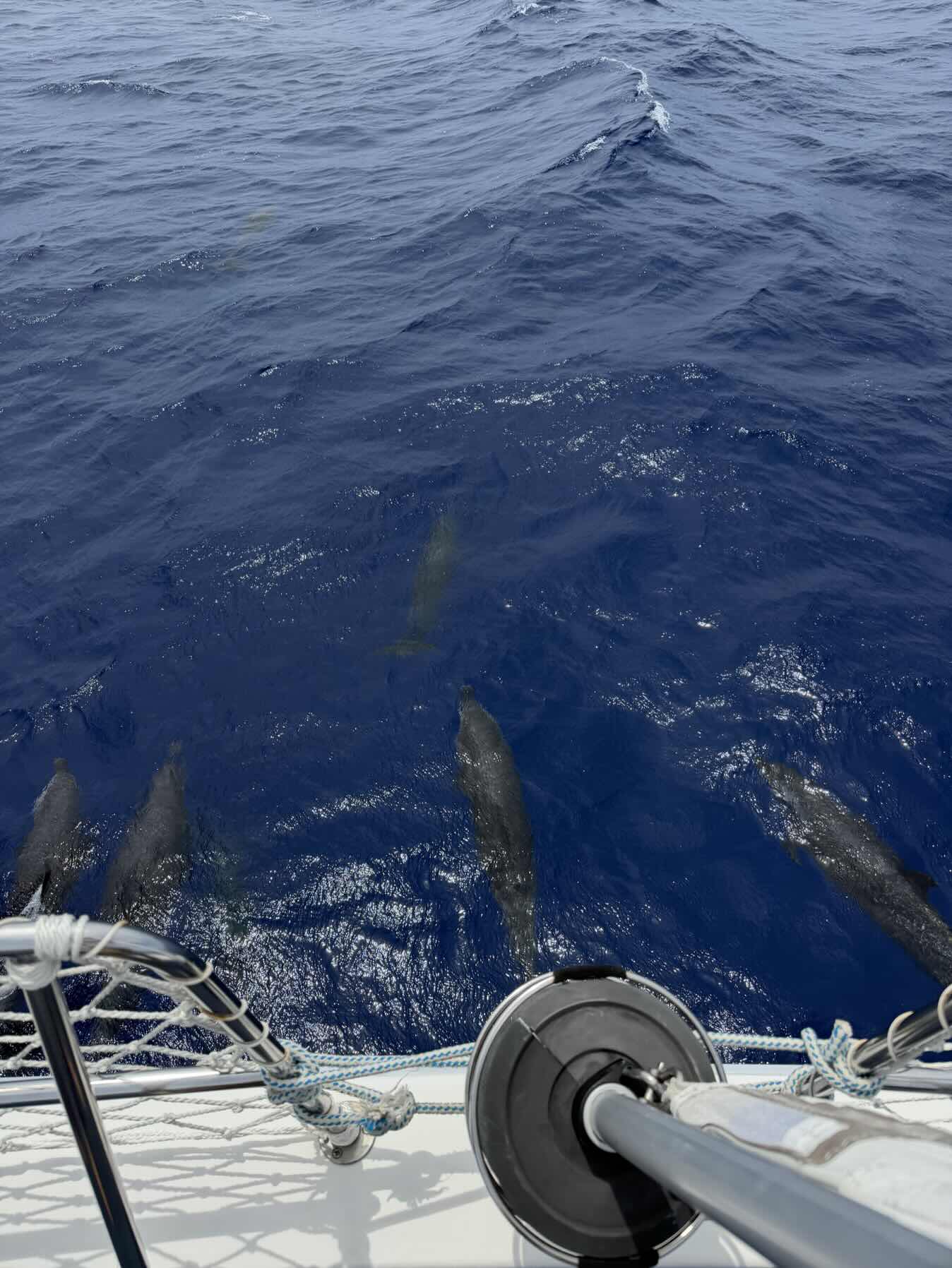 Overnight crossing from Double Breasted Cay to St Augustine with a big storm! _54F90A84-997D-4A33-B519-FD025A373B7C