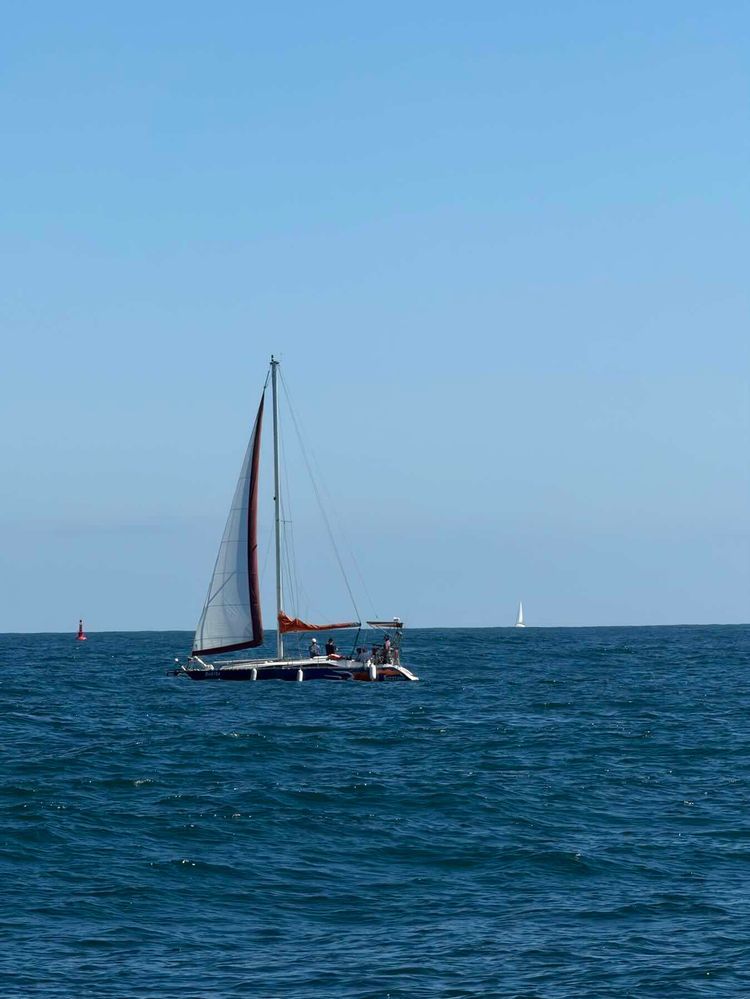 Voyage photo from Sail training session