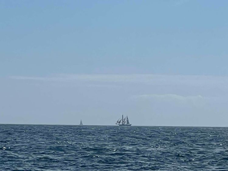 Voyage photo from Passage to St Peter Port - Ariadne