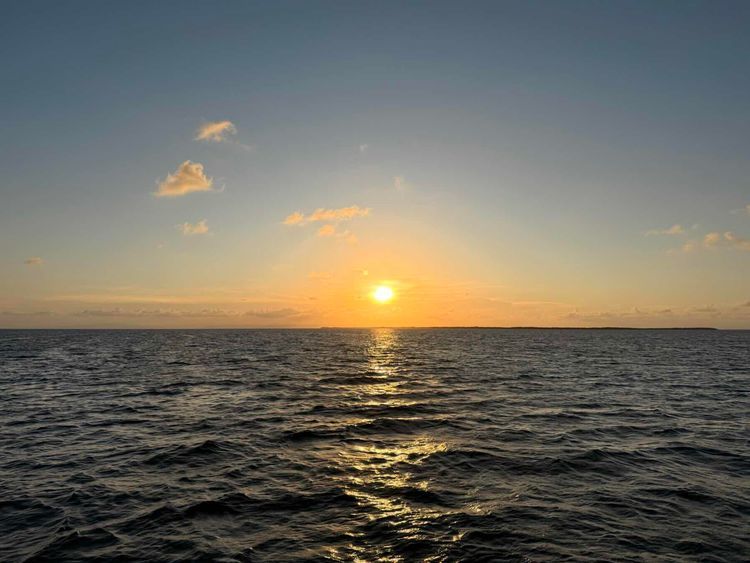 Voyage photo from Day 2 Belize Tobacco Caye to No where 
