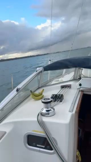 Voyage photo from End of year reme vets