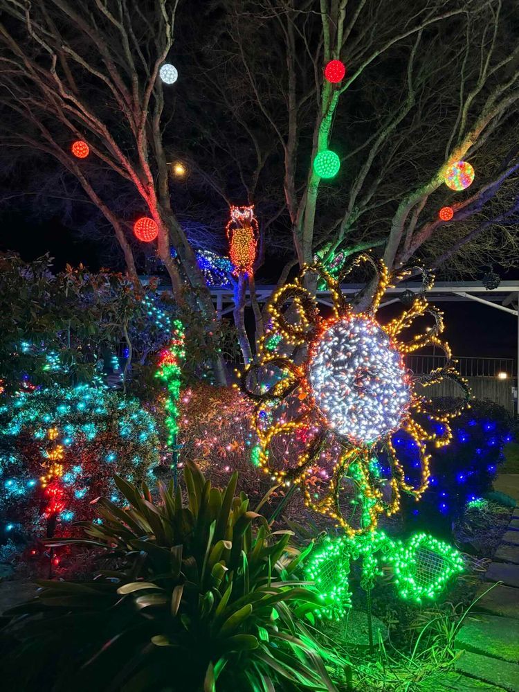 Voyage photo from Fremont to Kingston