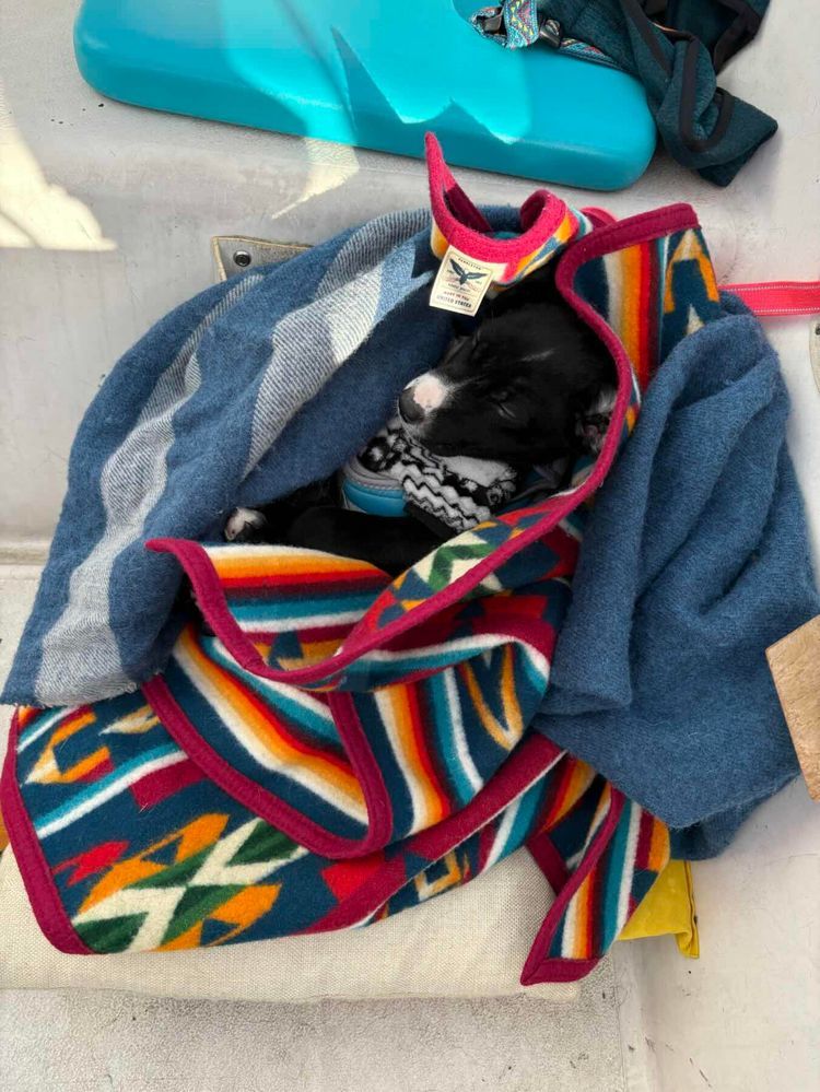 Voyage photo from Fremont to Kingston