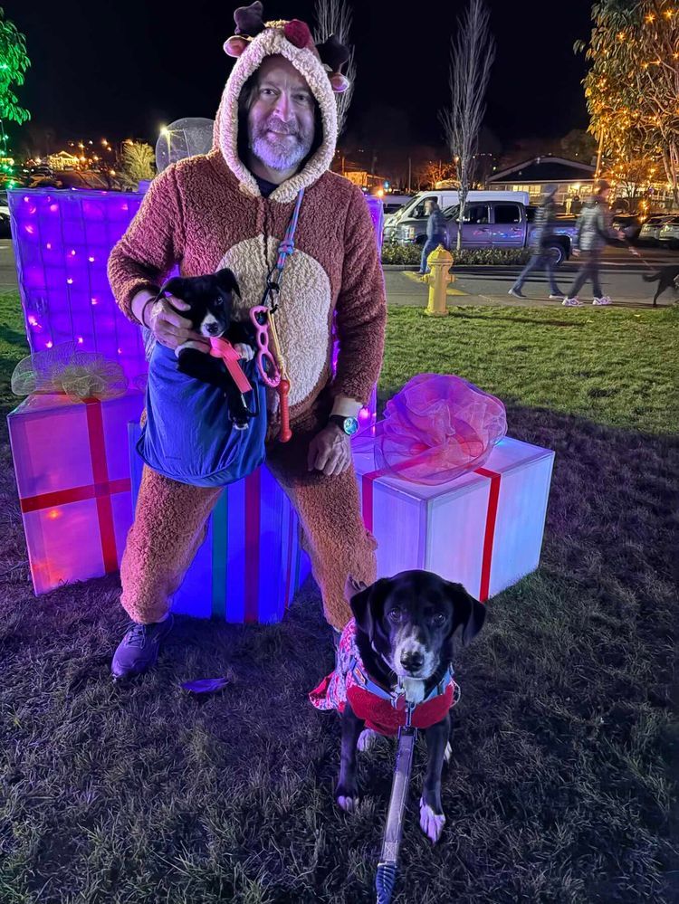 Voyage photo from Fremont to Kingston