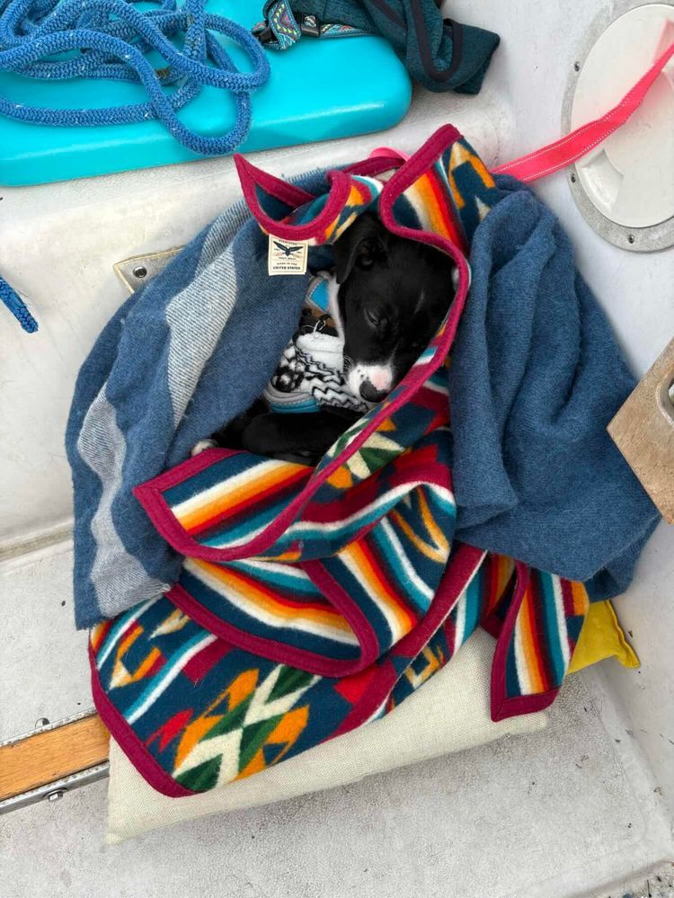 Voyage photo from Fremont to Kingston