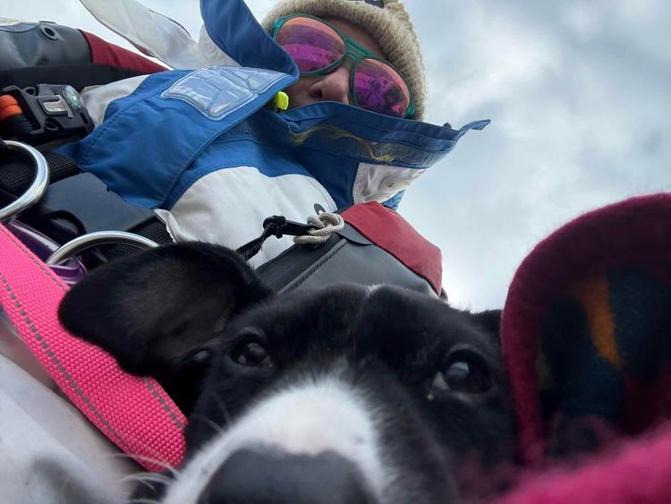 Voyage photo from Fremont to Kingston