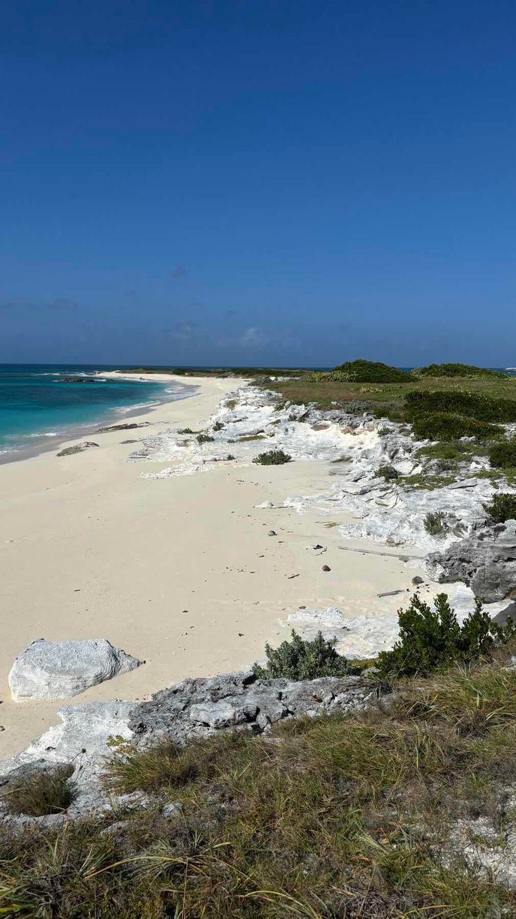 Voyage photo from Big Sand Cay - Luperon