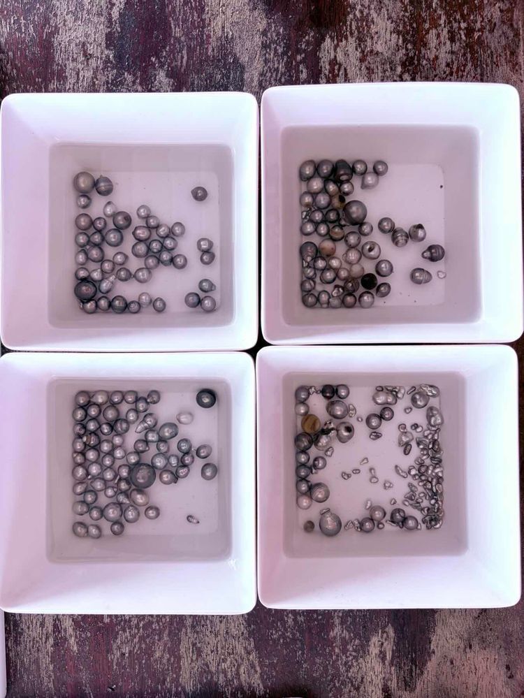 Voyage photo from De Anapa à baie Faaroa