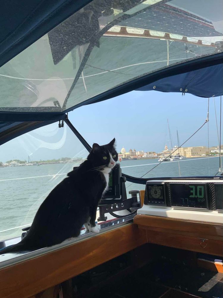 Voyage photo from Passage to Cartagena