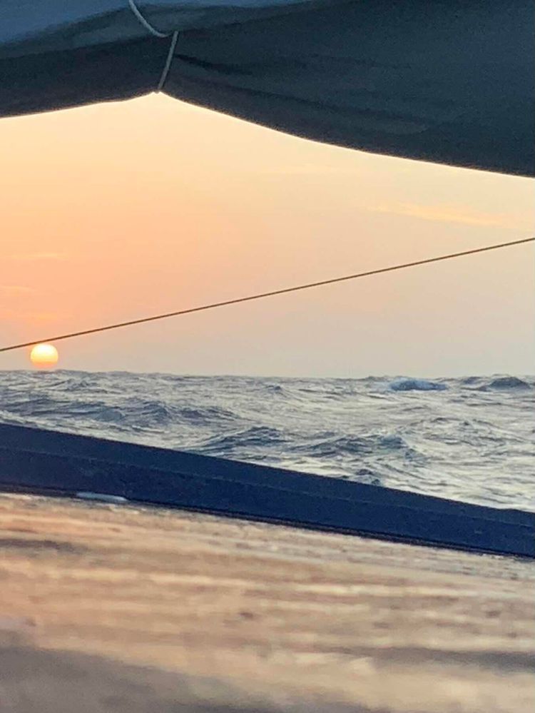 Voyage photo from Passage to Cartagena