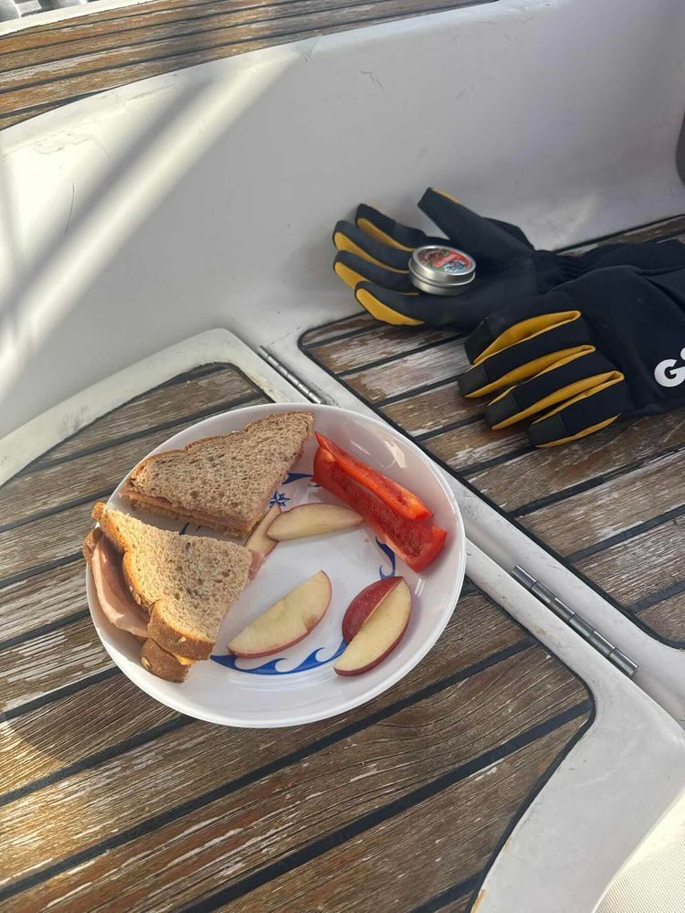 Voyage photo from Campbell Creek to Oriental