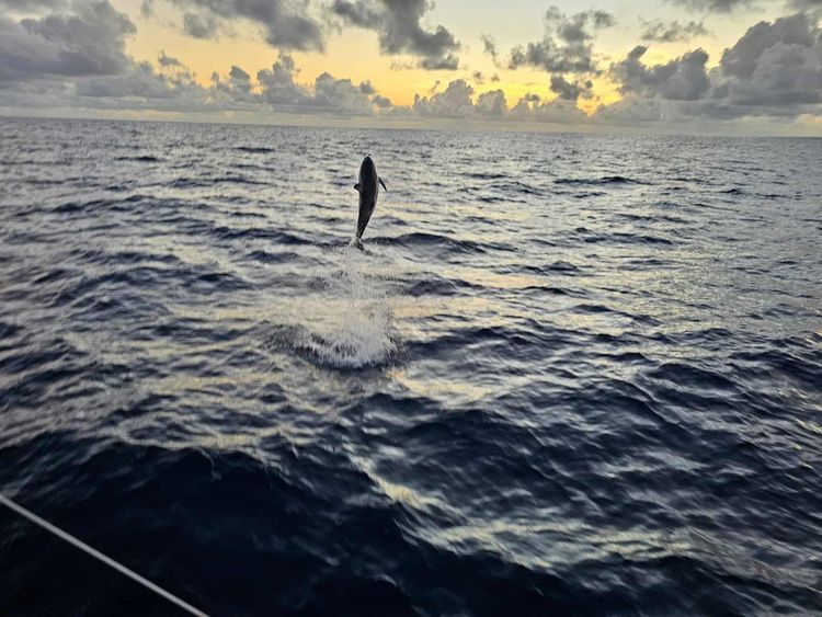 Voyage photo from La Palma Canaries to Cape Verde (Mindela Marina, São Vicente)