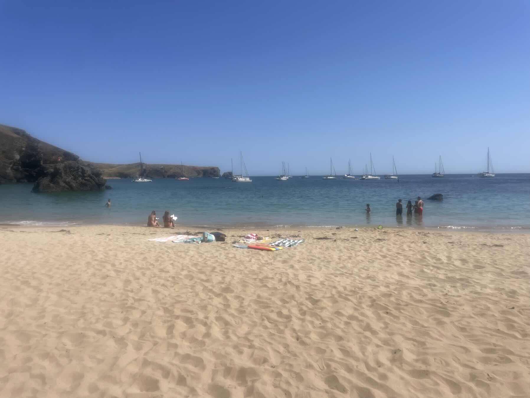 Ile hop/ Belle Ile and the nudies_FB7E507E-AE39-4914-AA01-A598DF664888