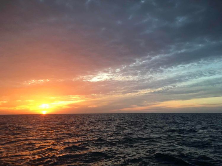 Voyage photo from 14 novembre au 03 décembre