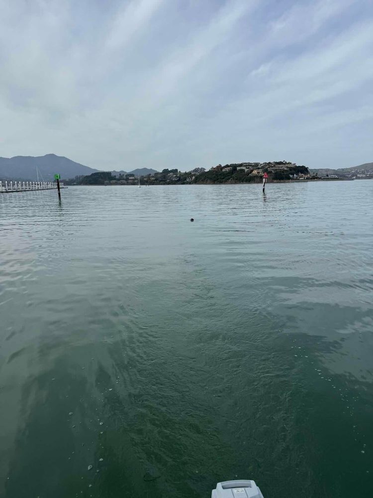 Voyage photo from No wind on Hummingbird