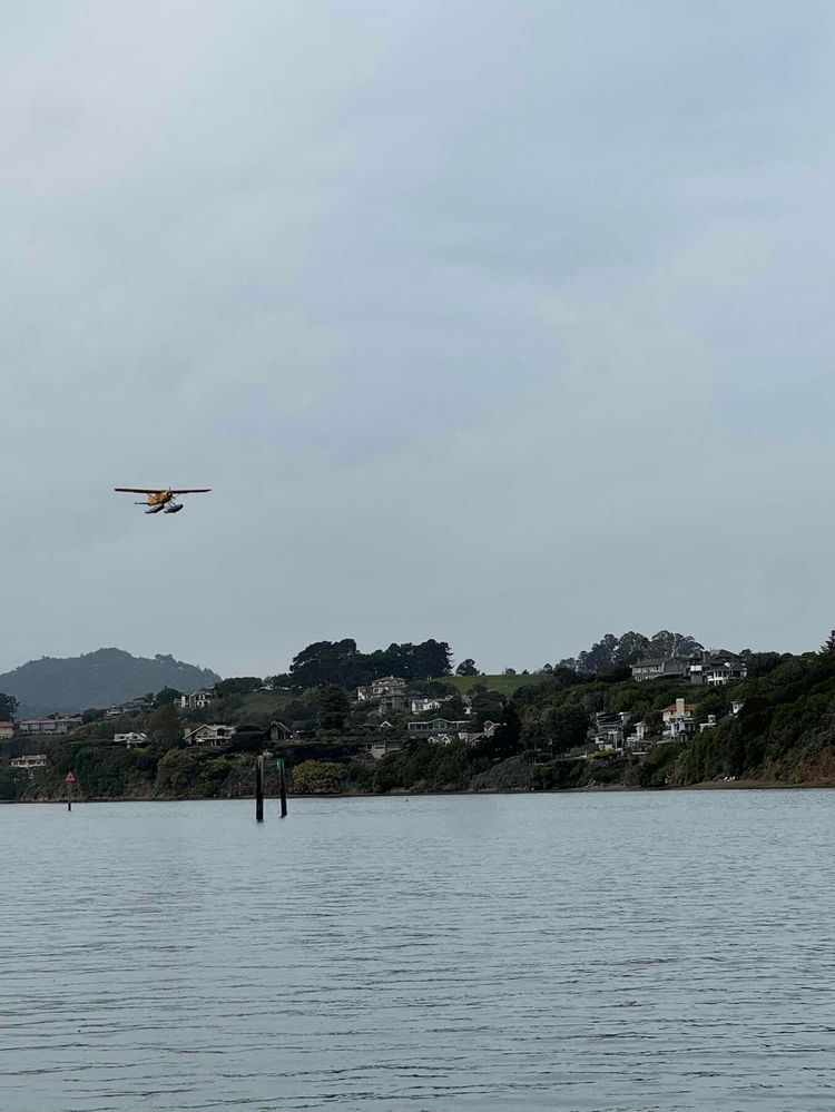 Voyage photo from No wind on Hummingbird