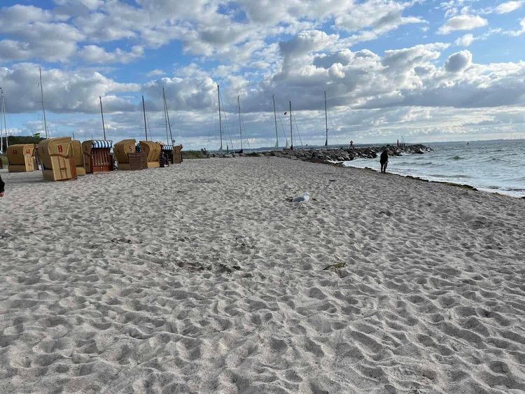 Voyage photo from Mecklenburger Bucht 2025