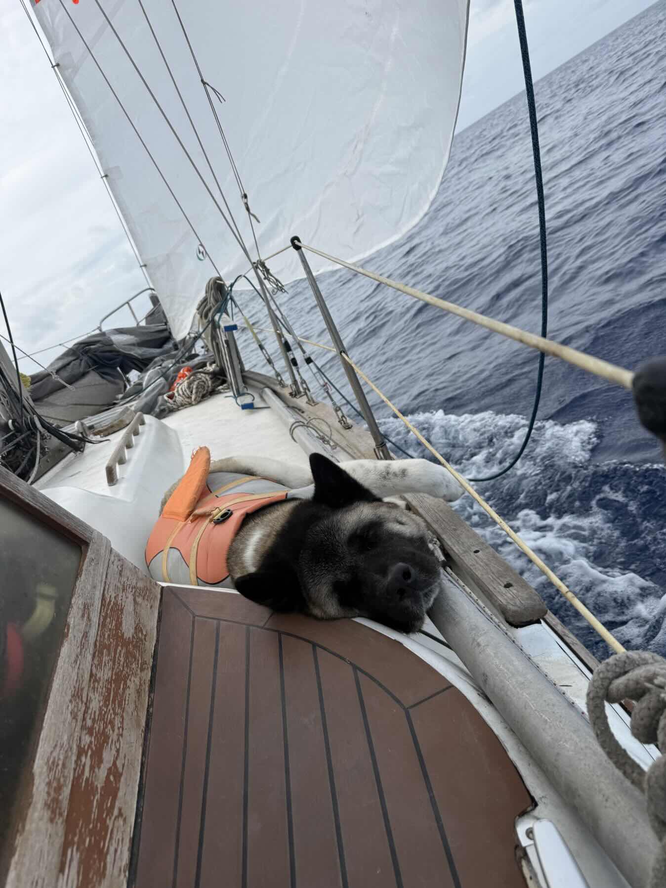 Atlantic bound! - part 6_99E0A370-89B4-4B58-BF33-9E61871F3092