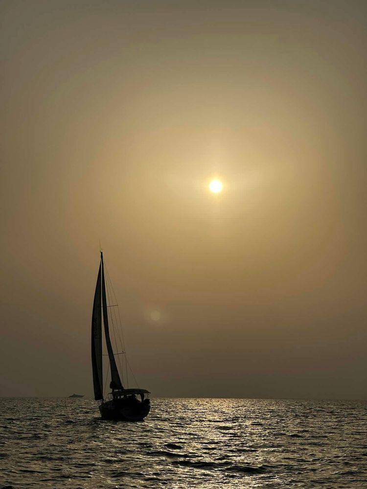 Voyage photo from DOSC Wednesday Night Pursuit Race