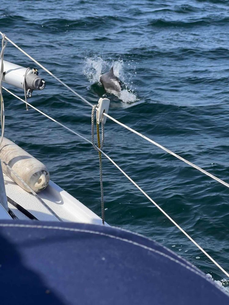 Voyage photo from The way to Bornholm. Passage 5. Gedser - Heiligenhafen