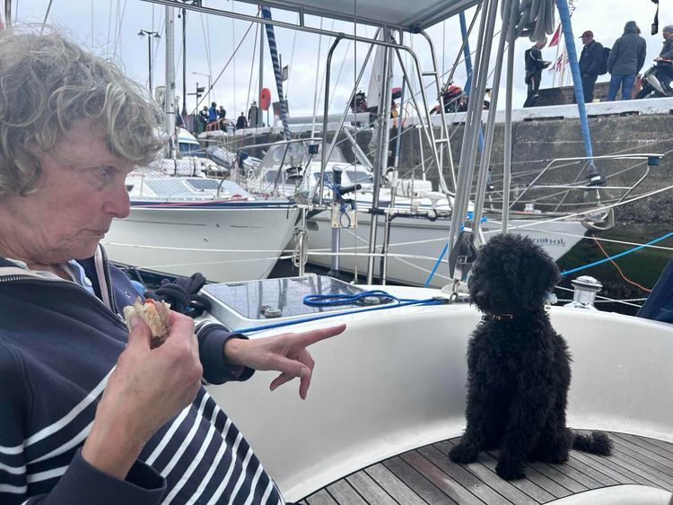 Voyage photo from A Bash to Windward
