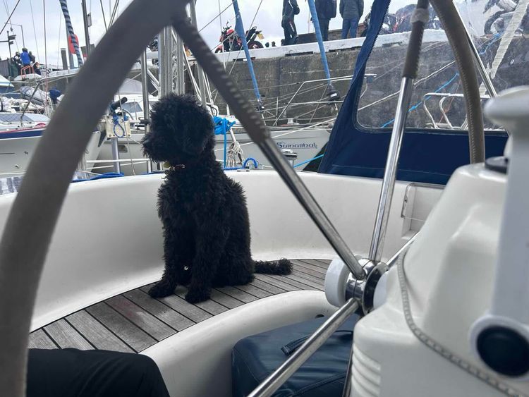 Voyage photo from A Bash to Windward