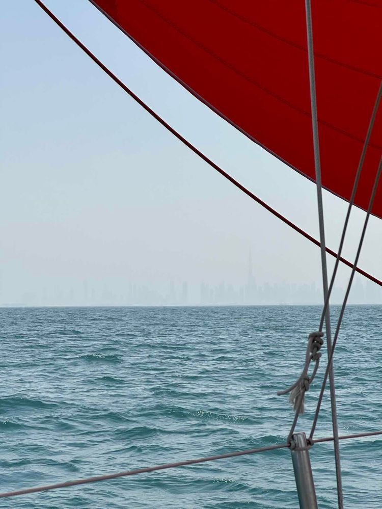Voyage photo from DOSC East to West Race - Sail Back