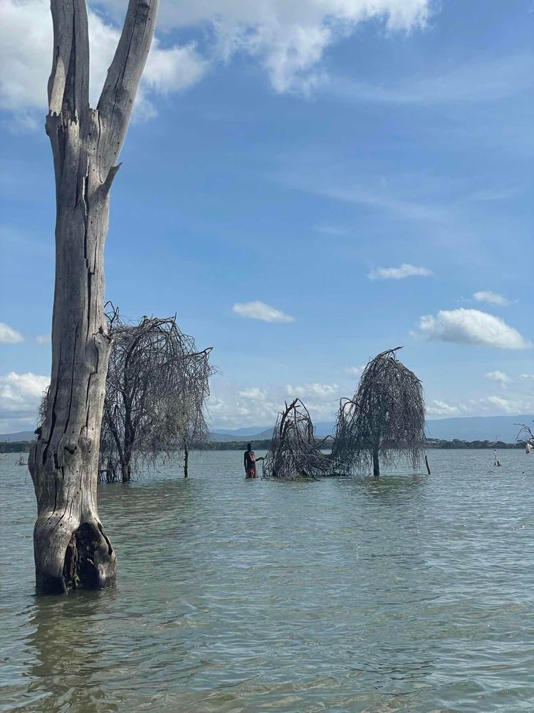 Voyage photo from Hippos and Crescent island 