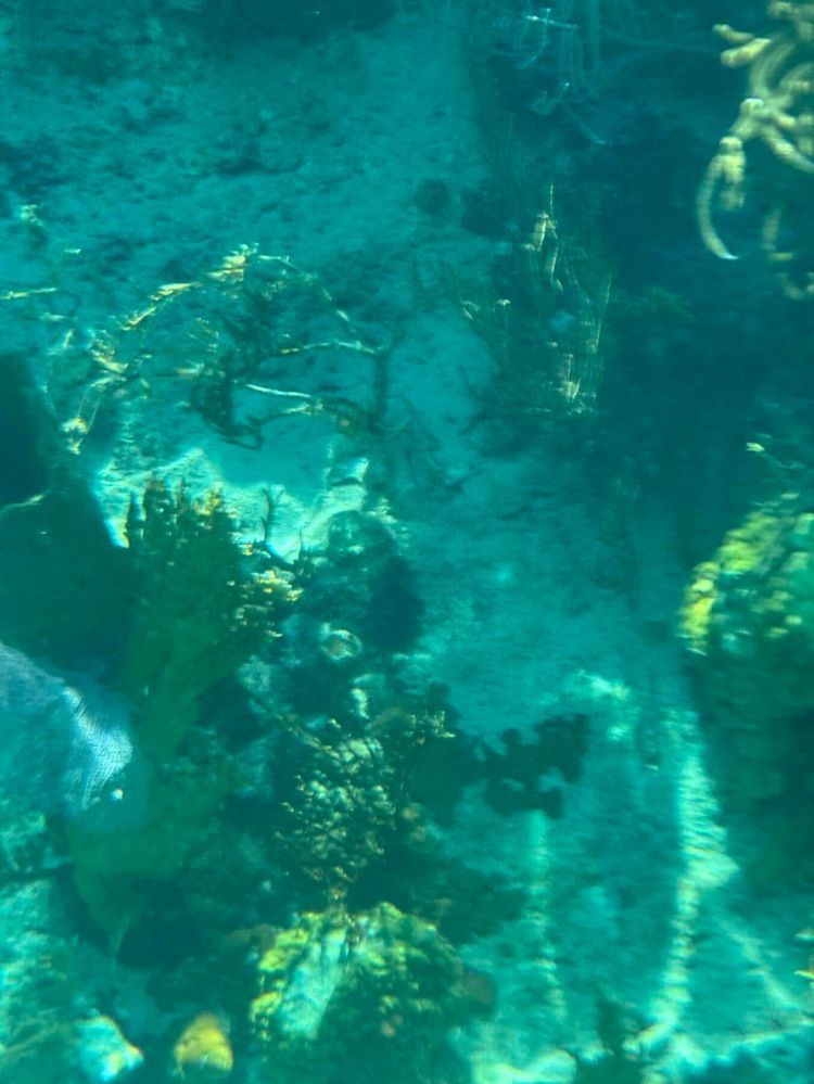 Voyage photo from Dinghy trip to Aquarium 