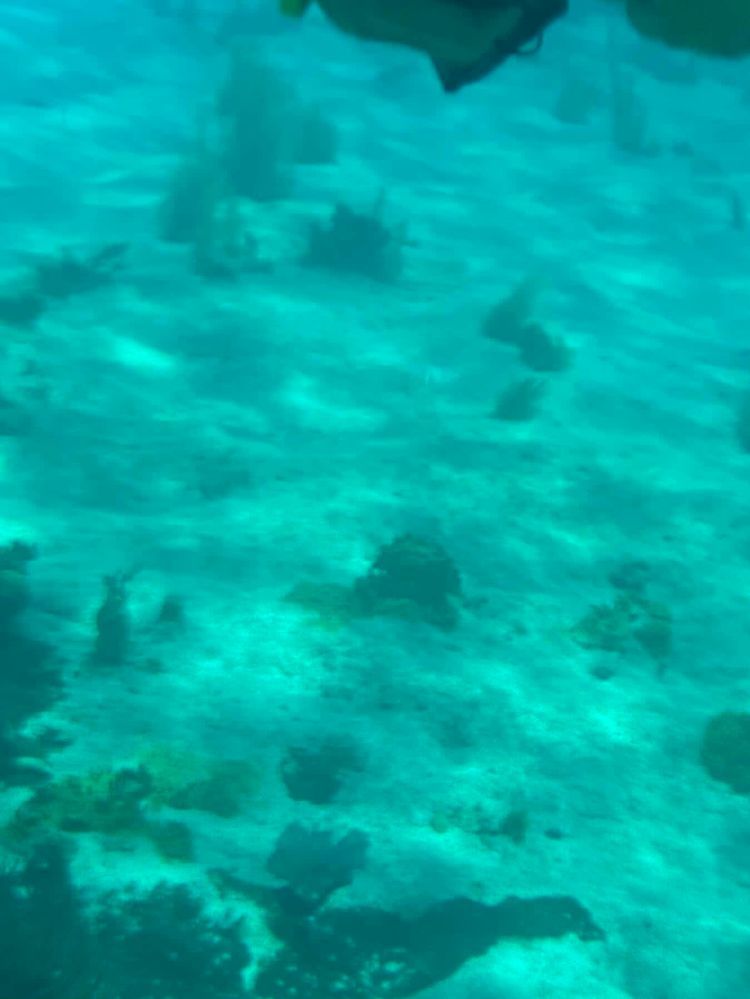 Voyage photo from Dinghy trip to Aquarium 