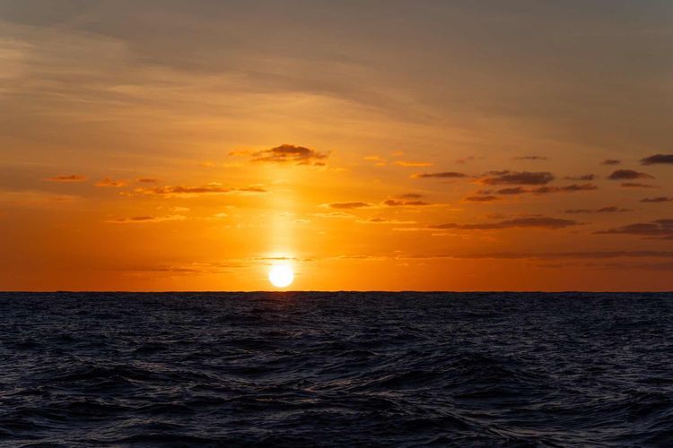 Voyage photo from Caribbean Atlantic return 2025