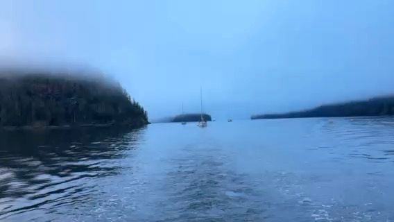 Voyage photo from Princess Louisa Inlet Day 4